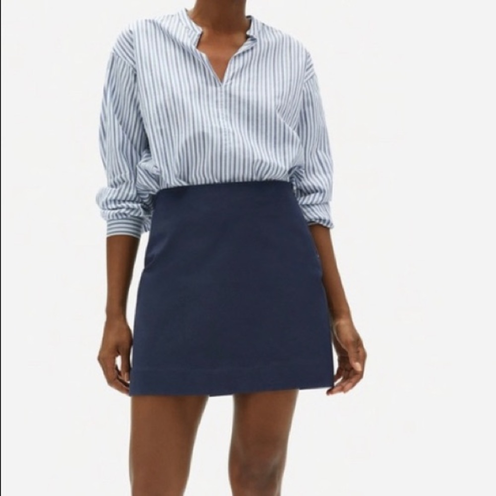 The Mini Skirt